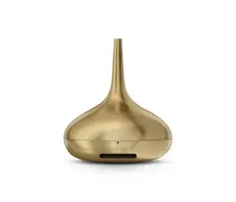 The Perfume Genie