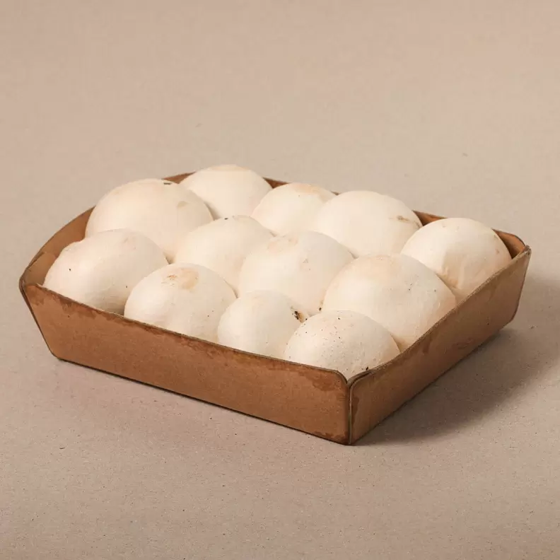 Xampinyó - safata 250g