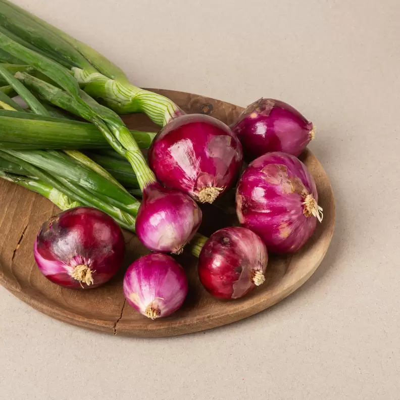 Ceba tendra baby morada
