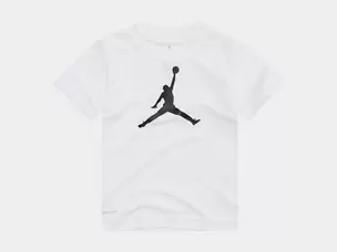 Jordan Jumpman Logo Df Tee