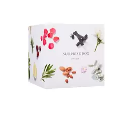 Surprise Box