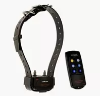 Nouveau! CANICOM First 200 (Collier Dressage) Noir NUMAXES - NEU - NEW - NUOVO