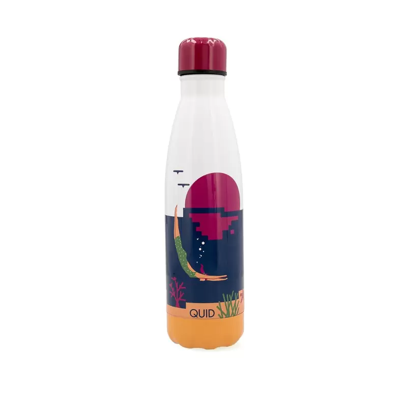 Botella térmica 50cl acero inoxidable multicolor Dream Quid