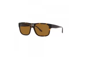 Emporio Armani 4197