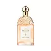 Aqua allegoria orange soleia