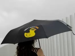 Paraguas corto - I don't give a duck