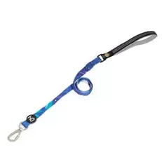 Correa Algas Azul