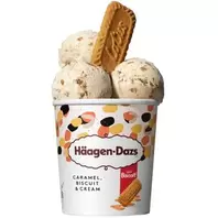 Helado caramelo biscuit tarrina 460 ml