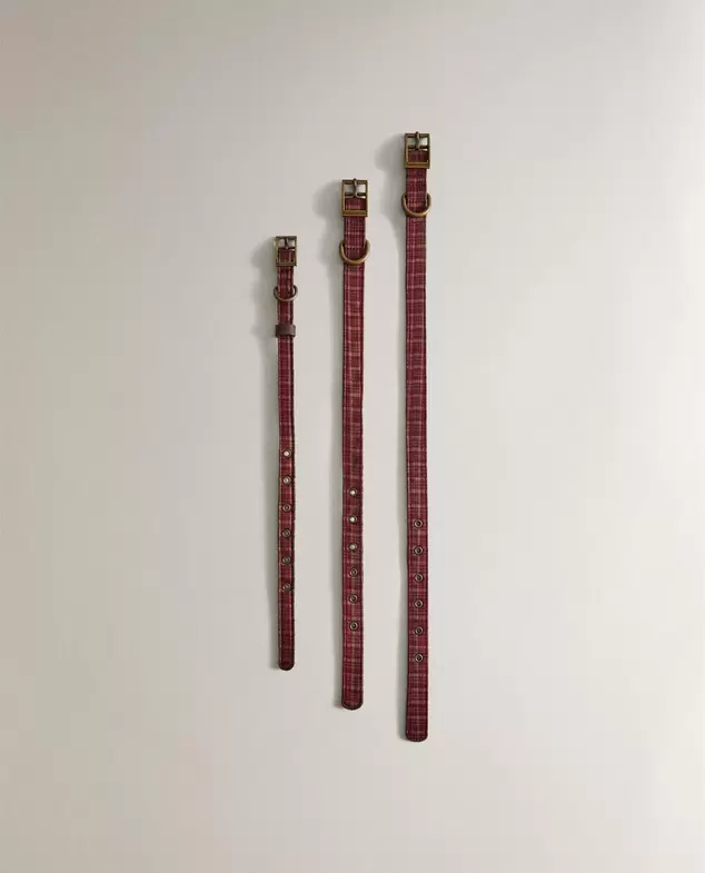 COLLAR PIEL PERROS NAVIDAD