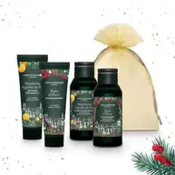 Kit Bayas de Invierno y Mandarina & Hojas de Pino "M" - Edición Limitada Navidad
