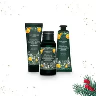 Kit 3 productos Mandarina & Hojas de pino "M" - Edición Limitada Navidad