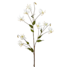 Vástago con purpurina Amy Gloriosa