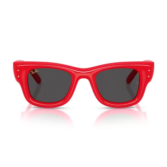 Ray Ban 4940 683187 50