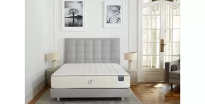 ZZ4 Firm Multielástic