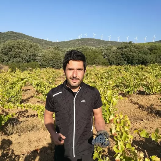 VINO TE ESPERO AQUI ROSADO