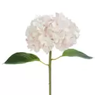 Tige d'Hortensia avec feuilles Premium 45cm - Blanc et Rose