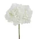 Tige d'Hortensia Premium 48cm - Blanc