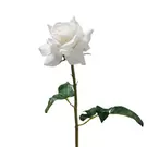 Tige de Rose ouverte Premium 50cm - Blanc