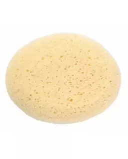 Esponja Hidrofila