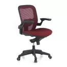 Silla ergonómica , soporte lumbar, red