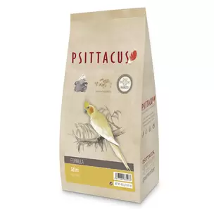 Psittacus Pienso Mantenimiento Mini
