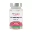 Ashwagandha KSM-66 60 VCaps