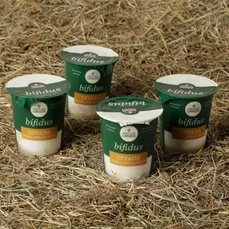 Iogurt bífidus amb civada, poma i nous Ametller Origen 125g - 4u.