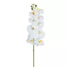 Tige d’Orchidée 90 cm - Blanc et jaune