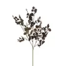 Feuillage Eucalyptus 80 cm - Marron foncé