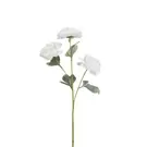 Tige de Pivoine 85 cm - Blanc
