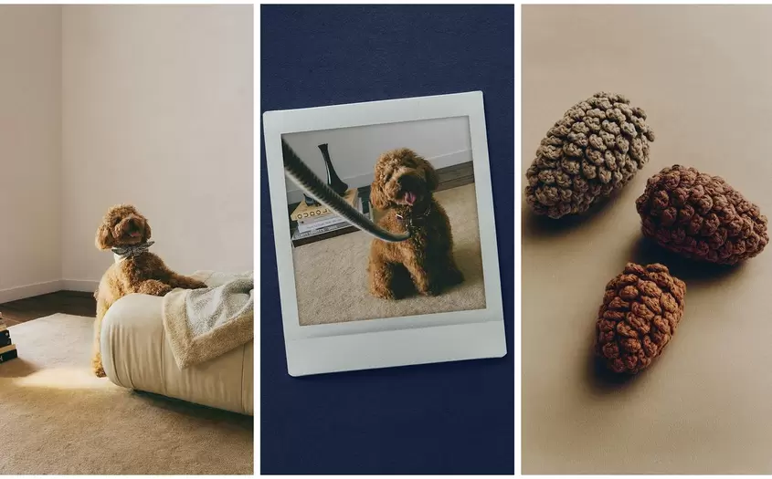 BANDANA ALGODÓN, CORREA CUERDA Y JUGUETE PIÑAS MASCOTAS