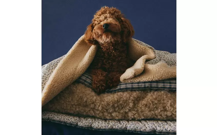 ACCESORIOS CUADRO VICHY MASCOTAS