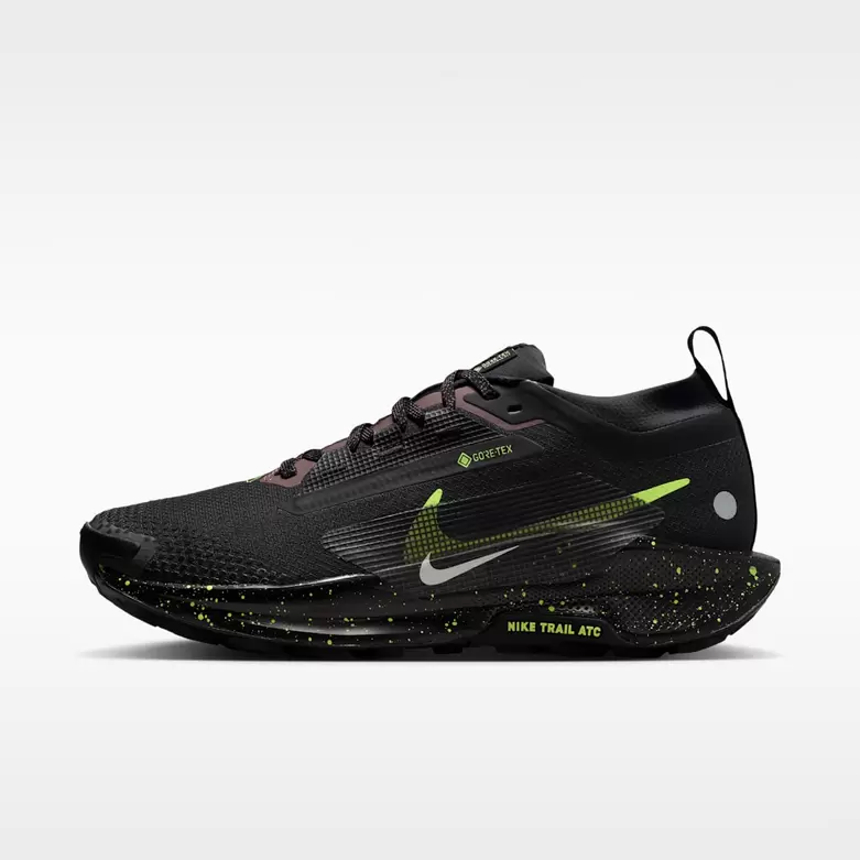 Nike Pegasus Trail 5 GORE-TEX