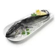 Merluza anzuelo del Cantábrico (1-2 kg aprox)