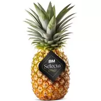 Piña Selecta unidad (1,750 aprox)