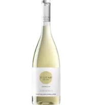 O Luar do Sil Godello 2025