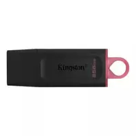 MEMORIA USB KINGSTON DTX 256GB USB-3.2 LECTURA: 100MB/s ESCRITURA: 100MB/s