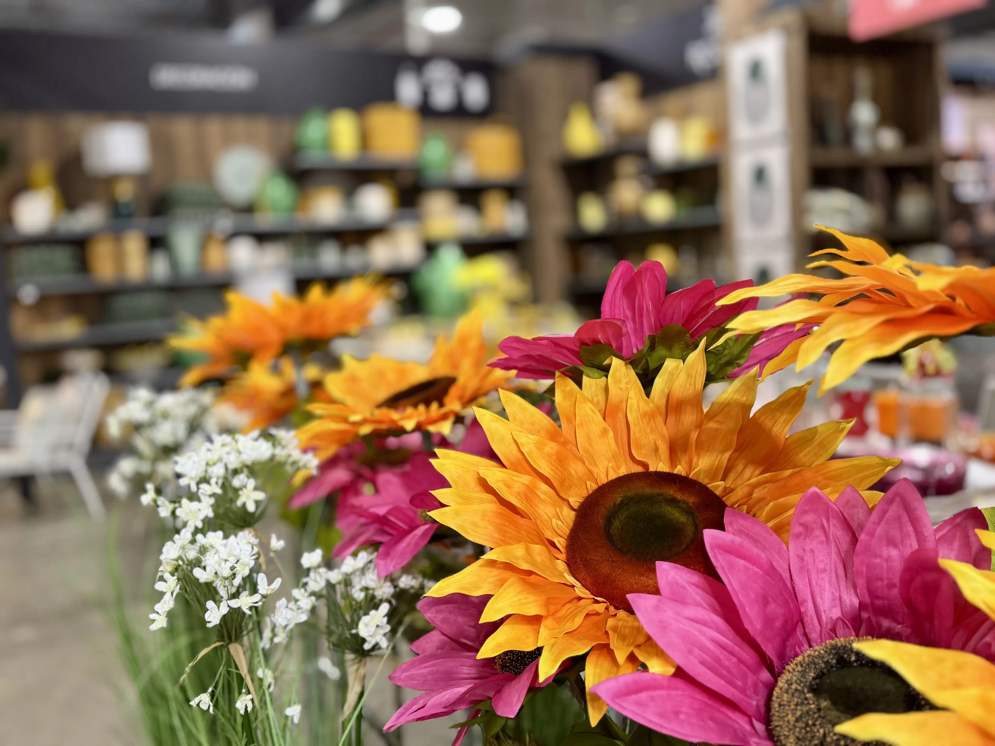 2026_¡YA ÉS PRIMAVERA EN LOS GARDENS JARDINARIUM!