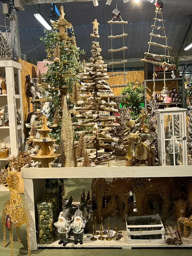 2023_UNA NUEVA NAVIDAD EN CASAPLANTA VIGO