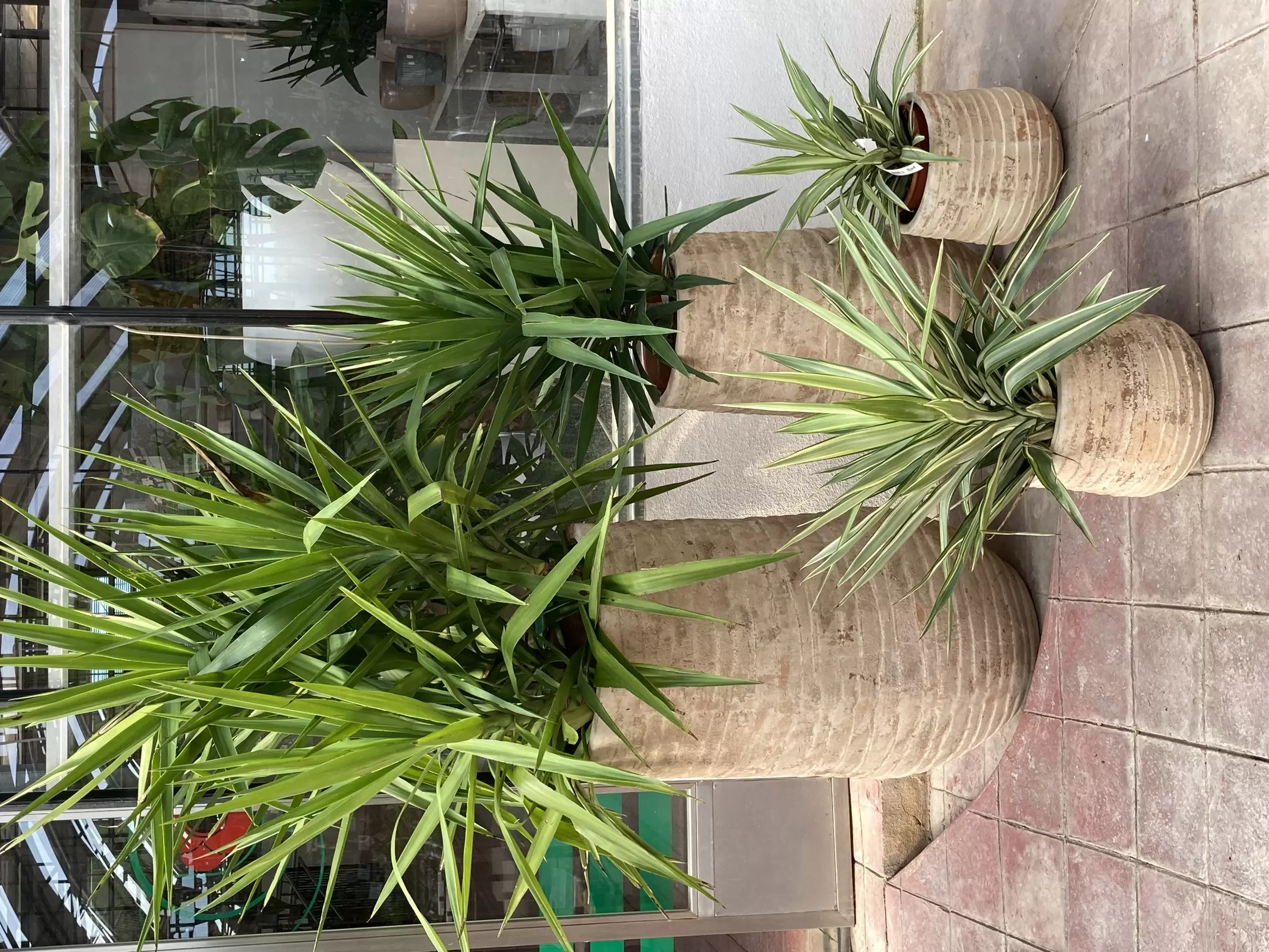 2023_DESCUBRE LA PRIMAVERA EN JARDINERÍA TRUVI