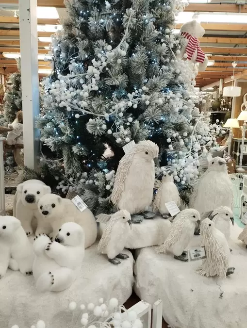 2022_Ya es Navidad en Viveiros O Piñeiro