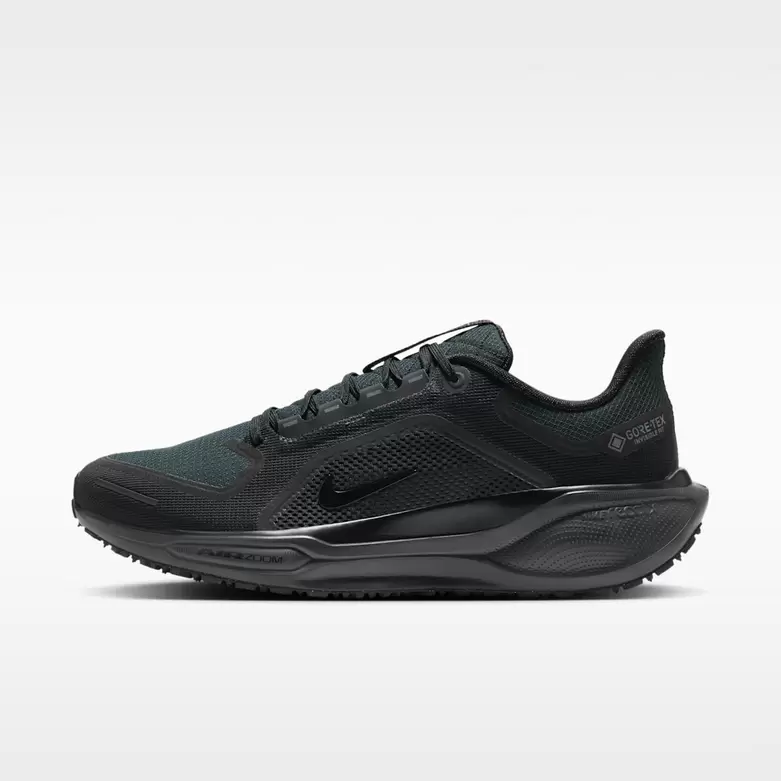 Nike Pegasus 41 GORE-TEX