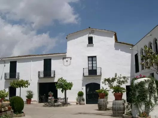 Comprar vino online,tienda de vinos online,tienda especializada en vinos,vino a domicilio,vinos exclusivos online,vinos seleccionados por enólogos,vinos poco conocidos online,comprar vinos diferentes,dónde comprar vinos seleccionados online,tienda de vino