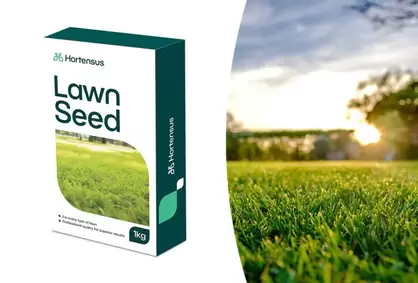 Semillas de césped Hortensus