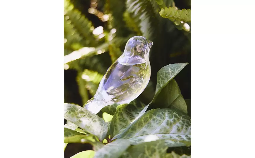 BURBUJA AUTORRIEGO PÁJARO JARDÍN