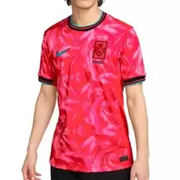 Camiseta Nike Corea del Sur 2024 2025 Stadium Dri-Fit