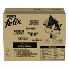 Felix Fantastic 120 x 85 g - Jumbopack