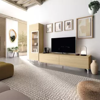 Composición de Salón con Mueble TV y Vitrina NEO.4 322