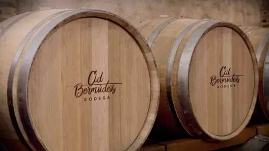 VINO ALTREJO CRIANZA