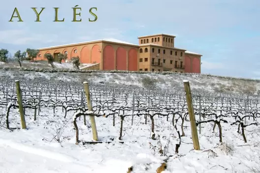 VINO CUESTA DEL HERRERO AYLES